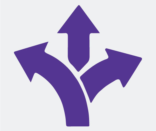IPS Ltd – System Integration Solutions
